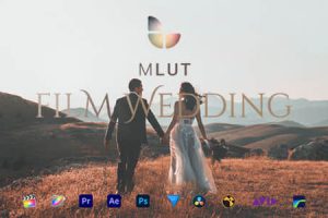 LUTs预设-25种欧美婚礼电影风格LUTS调色预设 mLUT Film Wedding