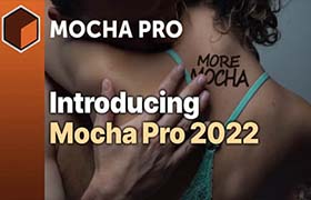 Nuke/达芬奇/Vegas/OFX插件-专业三维摄像机反求摩卡跟踪插件 Mocha Pro 2022.5 v9.5.6 Win