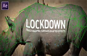 AE插件-中文汉化物体表面跟踪特效合成高级工具 Lockdown v2.8.7 Win