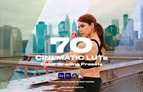 LUTs预设-70个电影滤镜简洁大片LUT调色预设 Cinematic LUTs Vol.1