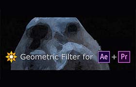 AE/PR插件-中文汉化抽象几何形状视觉化效果 Geometric Filte v1.2 Win