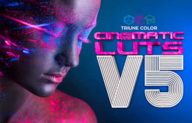 LUTs预设-325组仿27部好莱坞电影大片调色预设 Triune Color – Cinematic LUTS V5