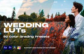 LUTs预设-100种欧美唯美简约现代的婚礼调色预设 Colorify Wedding LUTs