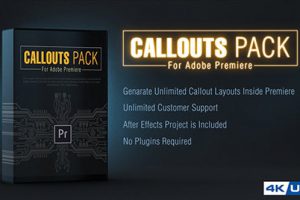 PR预设+AE模板：13种呼出指示线条文字标题注释介绍动画 Callout Line Pack For Premiere