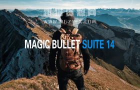 FCPX/AE/PR/达芬奇红巨人降噪磨皮美颜调色插件套装Magic Bullet Suite v14.0.4 Mac