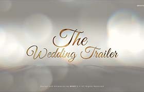 AE模板-优雅个性现代婚礼典礼文字标题视频包装片头动画 Wedding Trailer