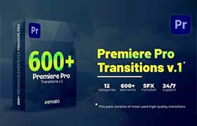 PR模板-600个视频无缝转场过渡预设 Transitions for Premiere Pro