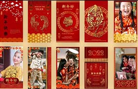 AE模板-10组红色喜庆欢乐的新年春节快乐竖屏海报宣传动画 Chinese New Year