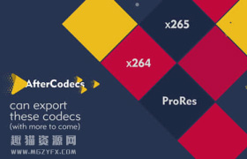 AE/PR/AME插件-特殊编码加速输出渲染插件 AfterCodecs v2.2.0beta1 Win