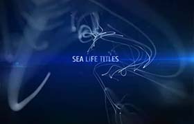 AE模板-唯美个性简洁的抽象粒子线条文字标题开场动画 Sea Titles