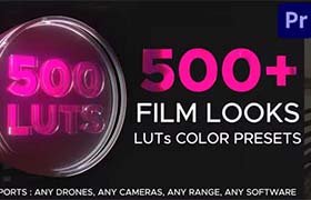 PR模板-500种视频调色预设包含LUT独立文件 LUTs Color Presets for Premiere Pro