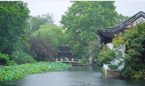 雨中园林美景下雨视频素材