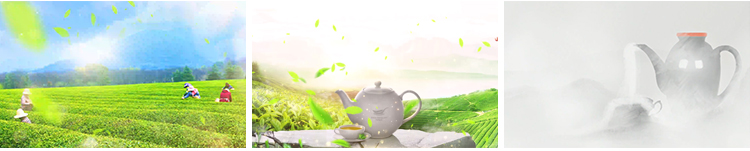 茶叶飘叶中国风茶园采茶山品茶茶田茶艺表演舞台LED背景视频素材插图8