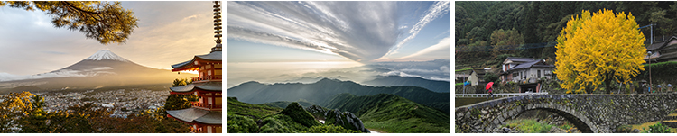 日本东京城市建筑风光夜景街道街景富士山樱花旅游风景图片照素材插图8