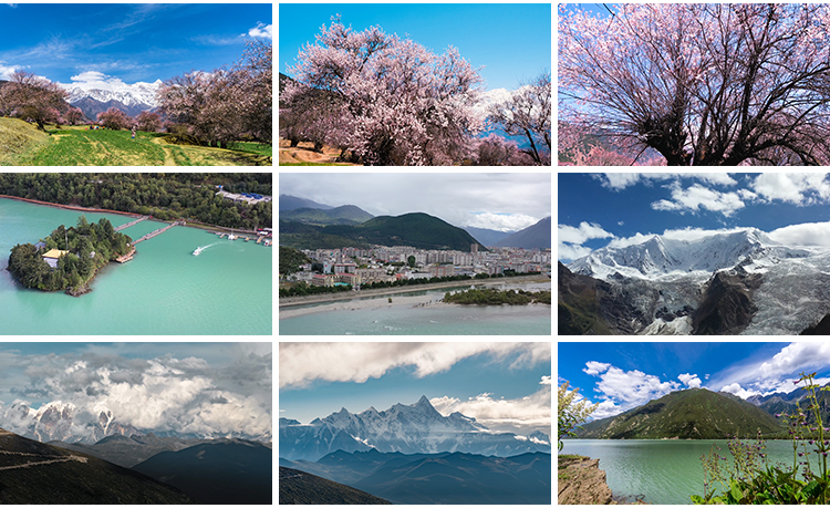 西藏林芝风光桃花节波密桃花沟藏族村落风景旅游景点高清视频素材插图8