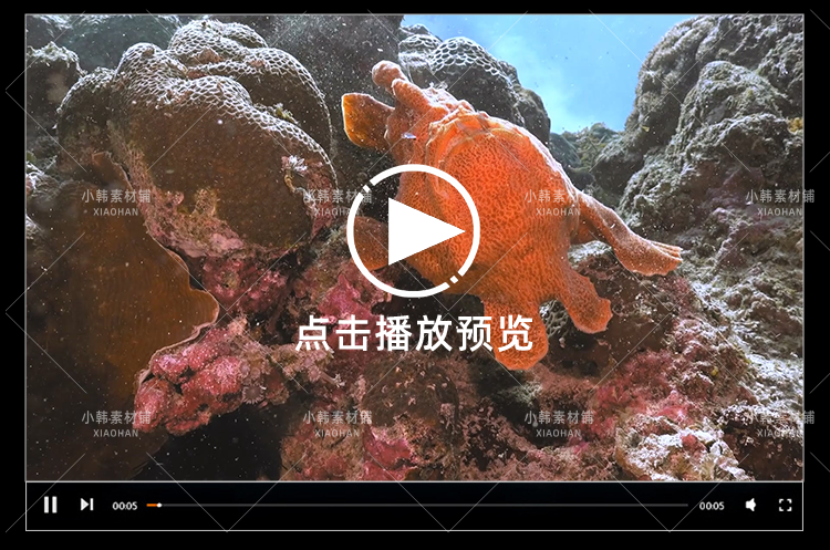 野生动物纪录片怪诞星球全12集中视频自媒体解说高清剪辑视频素材插图7