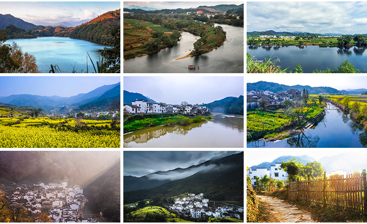 古镇婺源旅游风景点照片摄影油菜花乡村田园风光高清抖音图片素材插图8