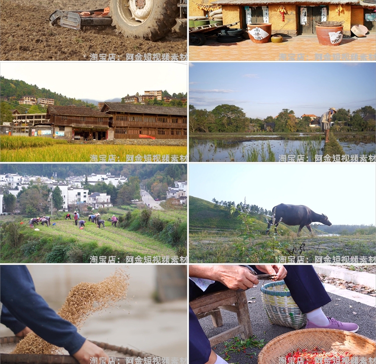 农村生活乡愁故乡怀旧风景素材高清旅游自然唯美治愈系短视频背景插图7