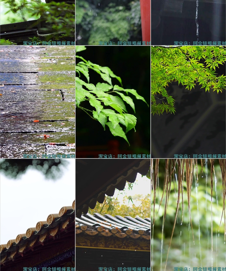 竖屏雨天雨景雨滴风景素材高清氛围感自然唯美意境短视频背景剪辑插图7