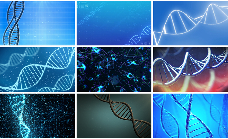 DNA双螺旋基因分子结构生物科学研究实验化学3D动画背景视频素材插图8