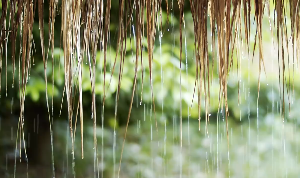 草屋下雨视频素材