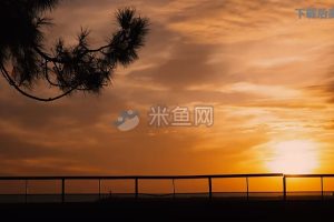 夕阳情侣大桥拥吻侧影视频素材