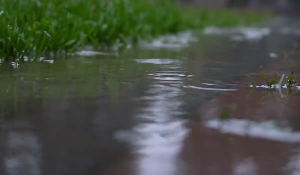 下雨池塘雨滴视频素材