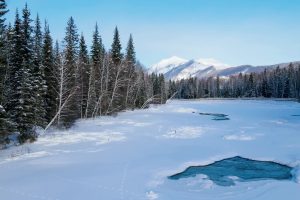 航拍冬季大雪后的森林湖泊视频素材