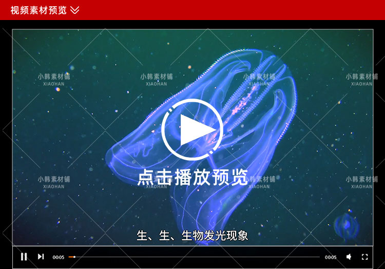野生动物纪录片怪诞星球全12集中视频自媒体解说高清剪辑视频素材插图3