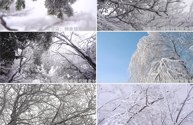 冬季冬天雾凇雪景树枝积雪风景素材高清旅游自然治愈系短视频背景插图4