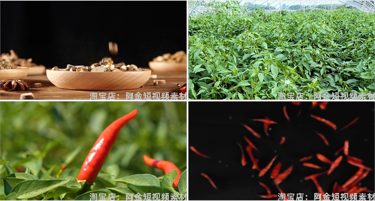 晾晒红辣椒小米农业种植收获采摘青辣椒抖音视频高清实拍素材剪辑插图4