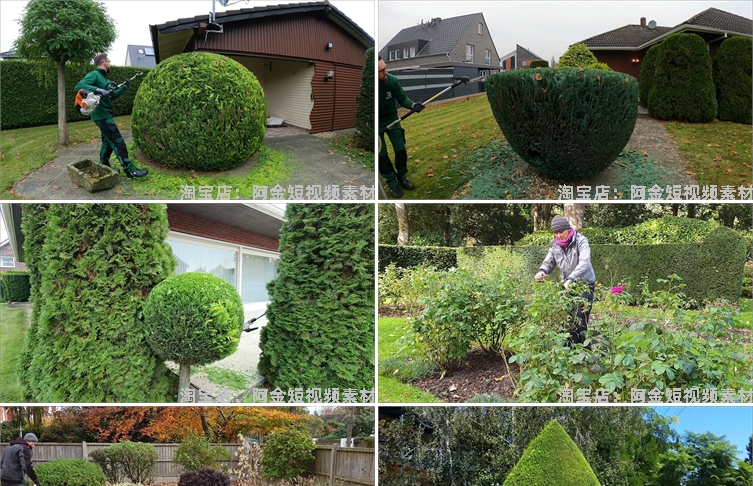 修剪草坪树木除草小说推文素材国外解压直播自媒体高清短视频引流插图3