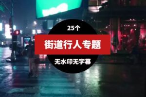 行人街道高清无水印视频素材25个