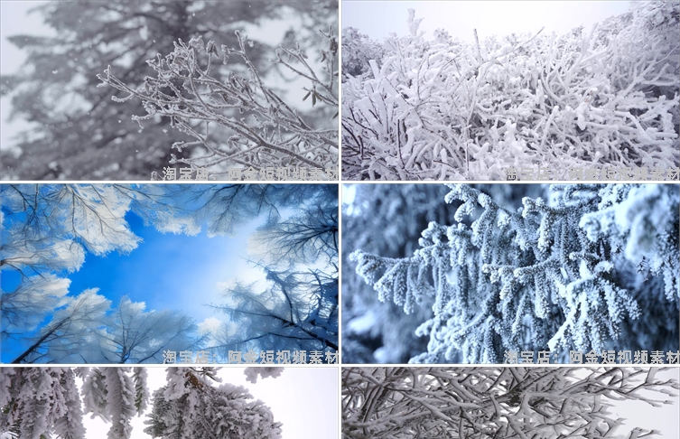 冬季冬天雾凇雪景树枝积雪风景素材高清旅游自然治愈系短视频背景插图3