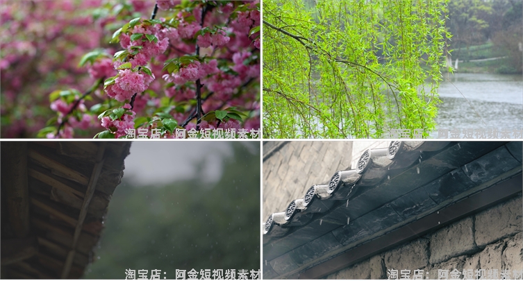 下雨雨滴绿叶清新绿色植物风景素材高清旅游自然治愈系短视频背景插图3