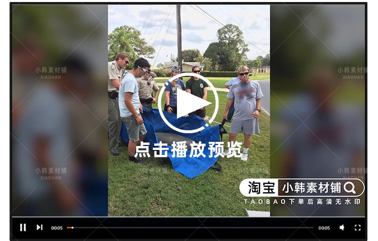 救治动物纪录片动物园秘辛1-2季自媒体快手抖音视频剪辑素材插图3