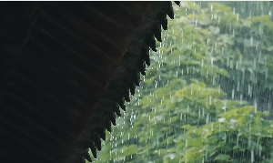 大雨屋檐花草下雨视频素材