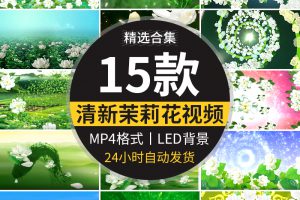 清新唯美茉莉花盛开民族歌曲舞蹈晚会舞台LED大屏幕背景视频素材