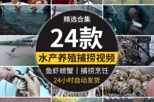 水产螃蟹大闸蟹养殖鱼塘网捕捞抓鱼草鱼养鱼河塘龙虾海鲜视频素材