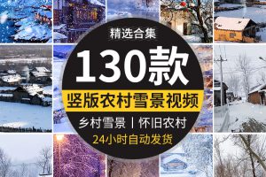 竖版竖屏乡村冬季冬天雪景下雪农村怀旧唯美治愈系抖音短视频素材