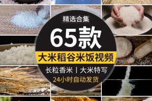 大米特写水稻米饭稻谷长米粒粮食掉落白米抖音自媒体高清视频素材