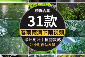 春雨雨滴下雨树叶绿叶清新绿色植物叶子雨水唯美意境春天视频素材