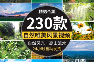 自然风景高山流水清新花草旅途风光绽放春天植物鲜花朵短视频素材