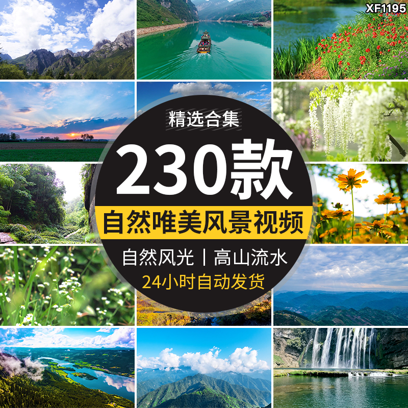 自然风景高山流水清新花草旅途风光绽放春天植物鲜花朵短视频素材插图