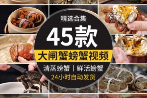 秋季大闸蟹实拍清蒸烹饪新鲜活螃蟹掰开蟹膏蟹黄水产美食视频素材