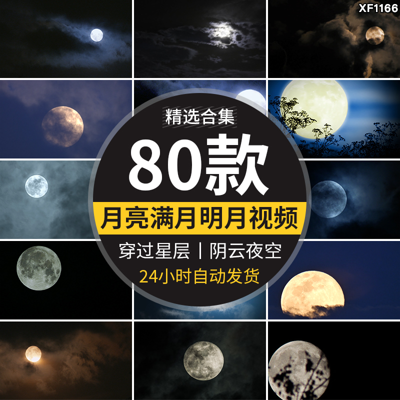 月亮实拍穿过乌云夜景阴云明月圆月满月空治愈系树枝剪影视频素材插图