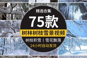 冬季雪天树林森林树枝头积雪冬天大雪花飘落枯树下雪地面视频素材