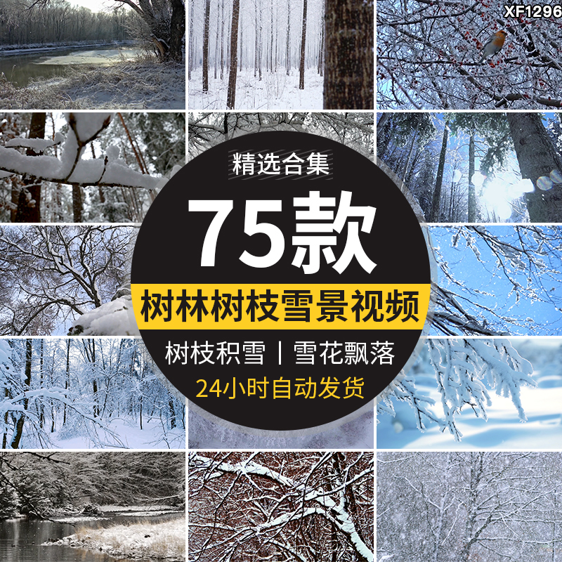 冬季雪天树林森林树枝头积雪冬天大雪花飘落枯树下雪地面视频素材插图