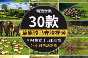 内蒙古大草原骏马群万马奔腾航拍套马放马赛牧马LED背景视频素材