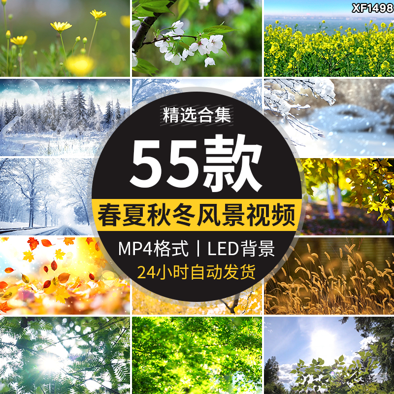 春夏秋冬天四季变换花草一年四季花草雪景LED大屏幕背景视频素材插图